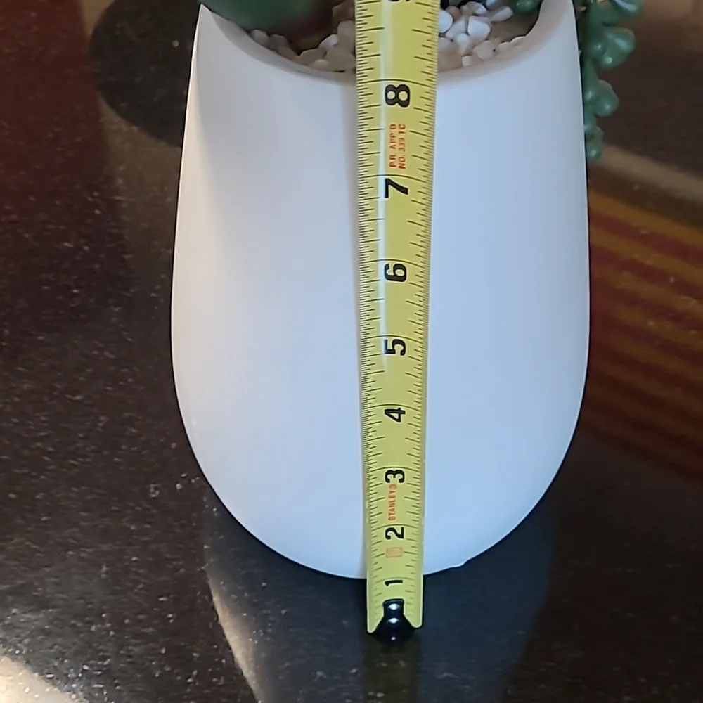 Succulent Face Pot